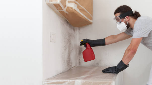 Attic Mold Remediation treatment on roof deck in Allensville