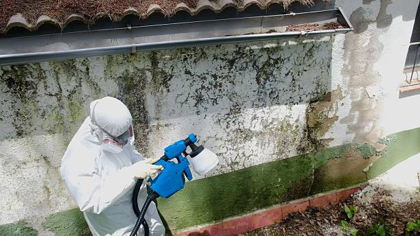Mold Remediation service in Allensville, Allensville, PA